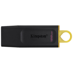Kingston 128GB DataTraveler Exodia USB 3.2 USB Bellek