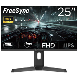 Rampage RAGE RG25R300 25" 300Hz 1ms HDMI DP Freesync FHD Fast IPS Gaming Monitör