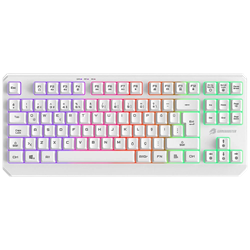 GameBooster G75 Elya Rainbow Aydınlatmalı Beyaz TKL Membrane Gaming Klavye
