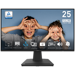 MSI PRO MP252 24.5 100Hz 1ms IPS FHD