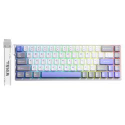 Aula Win68 HE Max Wing Chun Switch Hot Swap TKL RGB Mavi Kablolu Gaming Klavye