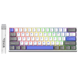 Aula Win60 HE Max Win Chun Switch Hot Swap TKL RGB Mavi Kablolu Gaming Klavye