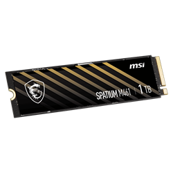 MSI SPATIUM M461 Gen4 M.2 2280 1TB SSD 5000MB Okuma / 3200MB Yazma