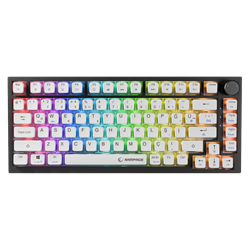 Rampage ZENITH PRO TKL Siyah Gateron Swich Q Mekanik RGB Gaming Klavye