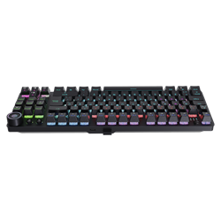 GameBooster Ryba Blue Switch RGB Siyah Mekanik Kablosuz Gaming Klavye