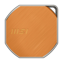 MSI DATAMAG LITE 40GBPS 1TB Type-C Taşınabilir SSD 4000MB Okuma/3600MB Yazma