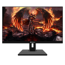 GameBooster GB-2419FF 23.8" 180Hz 1ms FreeSync G-Sync HDMI DP FHD SS IPS Gaming Monitör