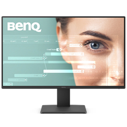 BenQ 24