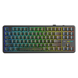 Aula F87 Pro RGB Hot Swap Mekanik TKL Kayhua İntelligent Switch Siyah Kablosuz Gaming Klavye